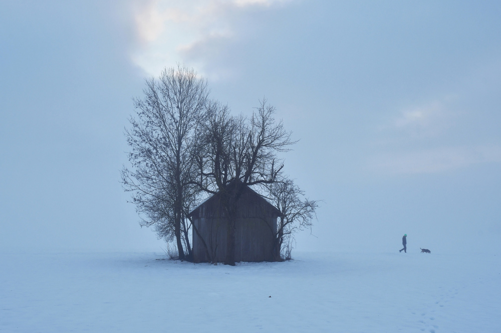 On a morning walk von Bojan Kolman