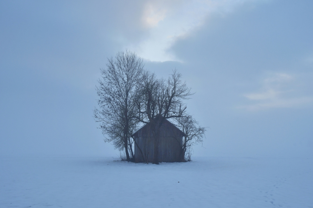 Lonely  cottage von Bojan Kolman