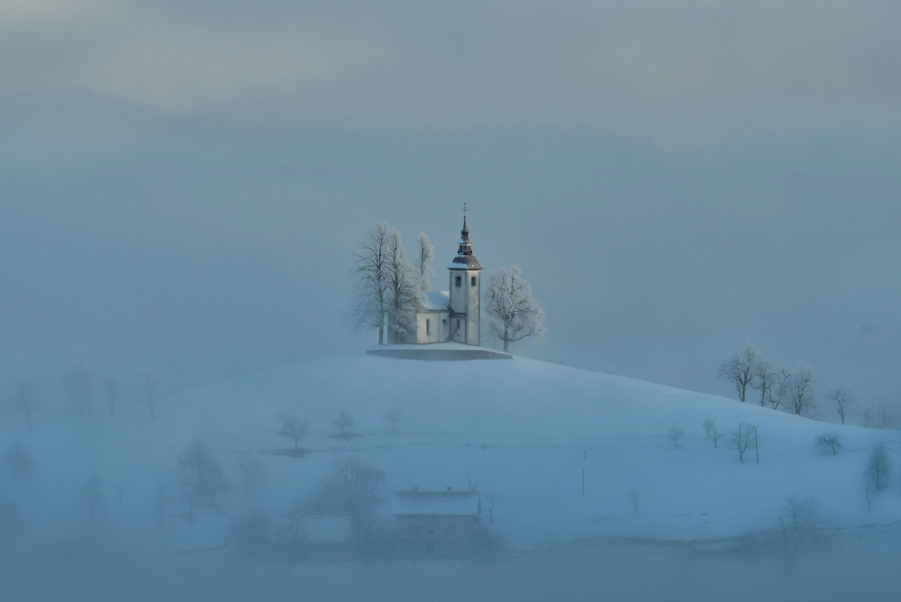 Winter white von Bojan Kolman