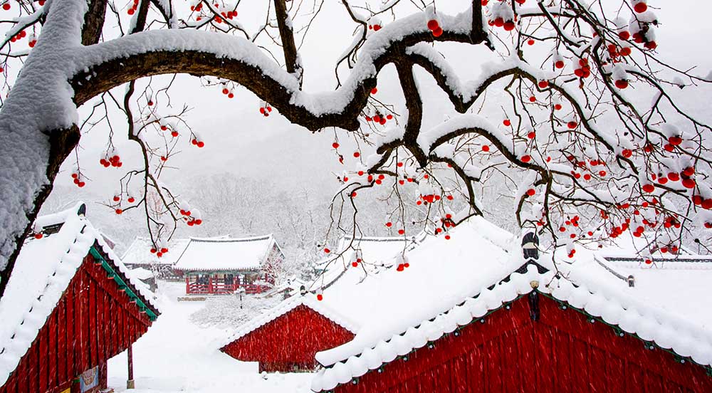 Schnee im Tempel von Bongok Namkoong