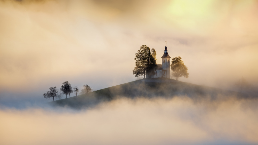 Out of the fog von Bor