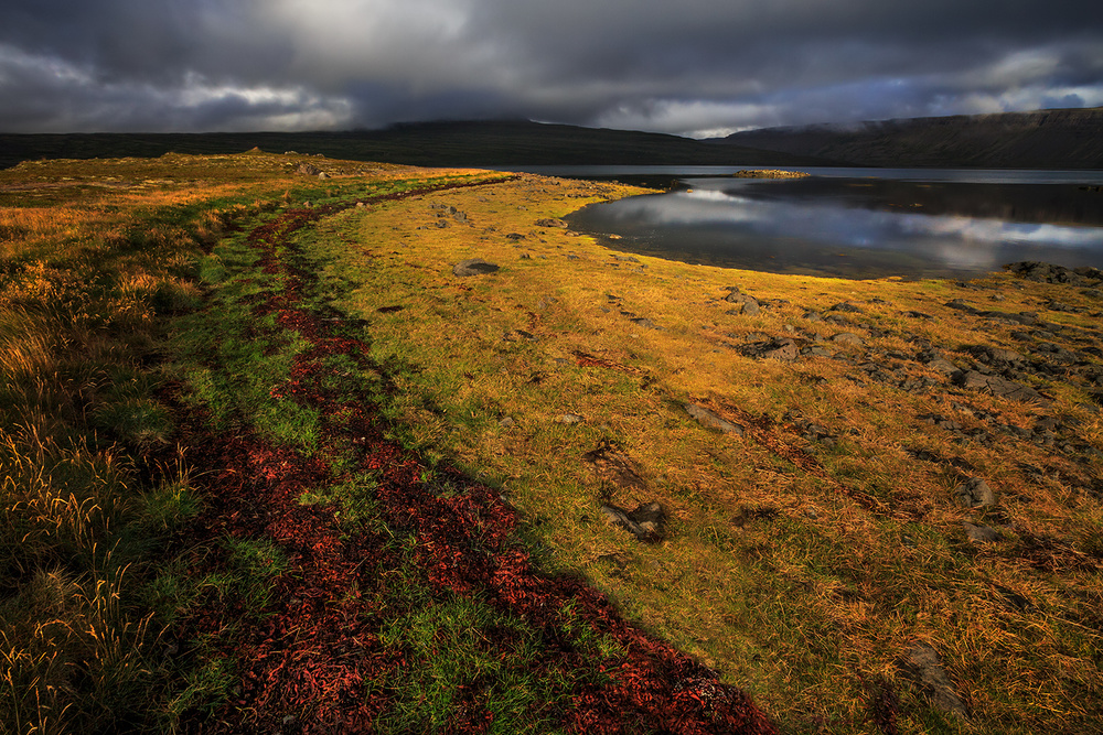 Colored Beach von Bragi Ingibergsson - BRIN