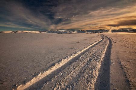 Snow Tracks