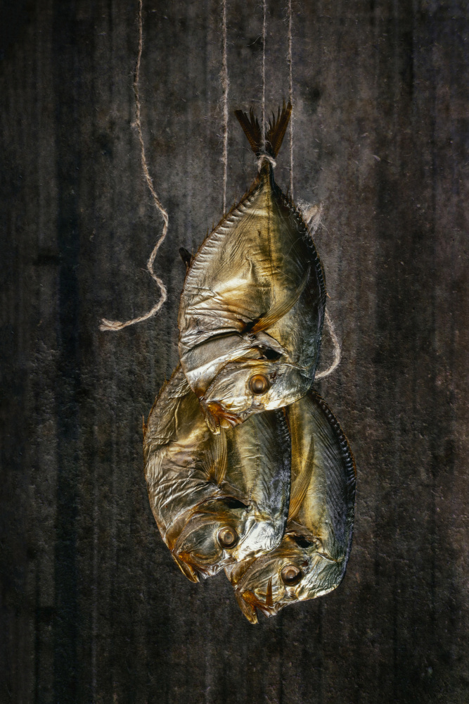 Fish von Brig Barkow