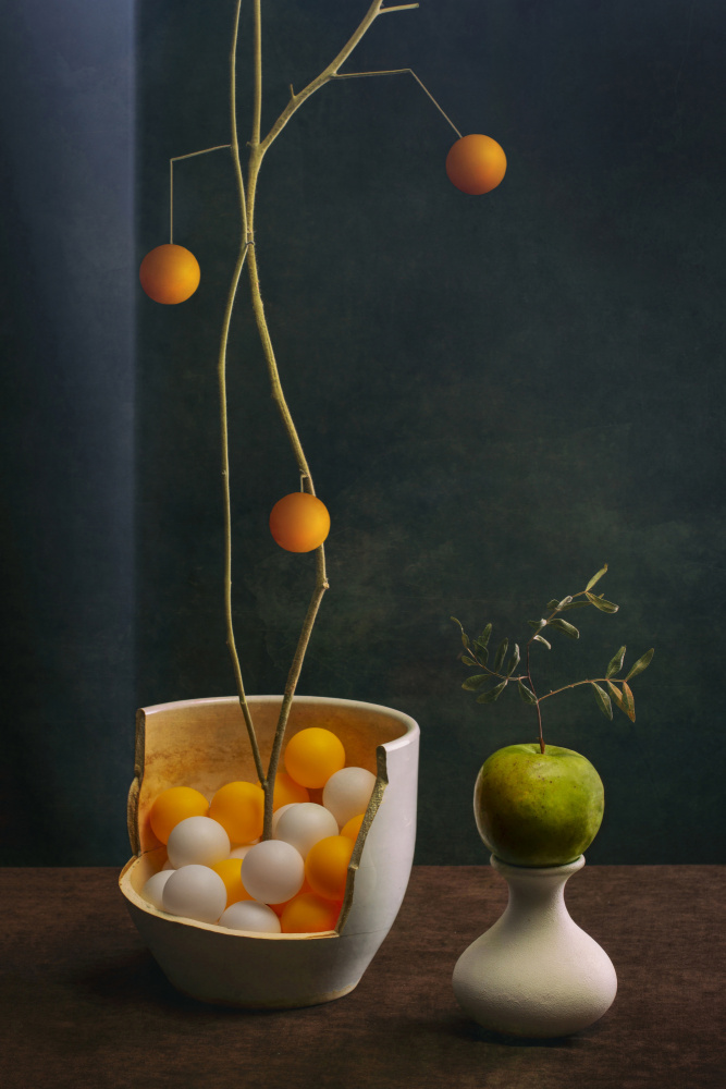 Still life von Brig Barkow