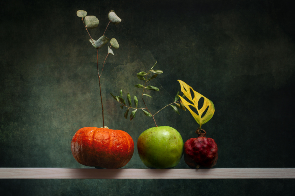 Still life with pumpkin, apple and pomegranate von Brig Barkow