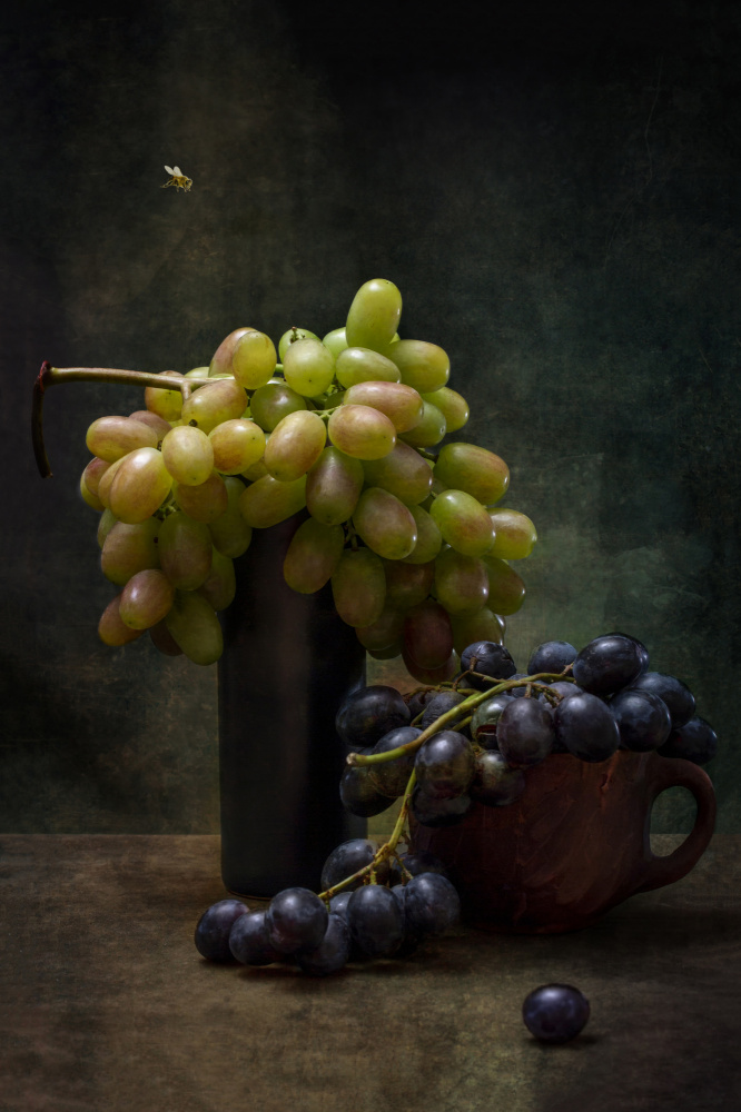 Still life with grapes and a bee von Brig Barkow