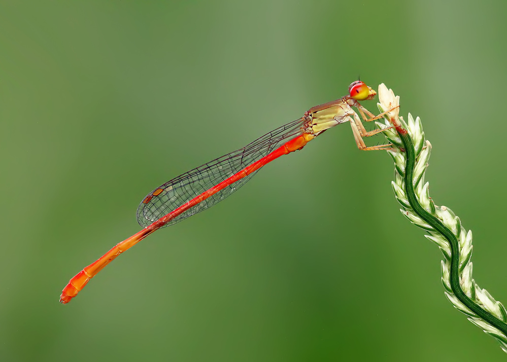 Twists and turns of life von Brizadly Arifin