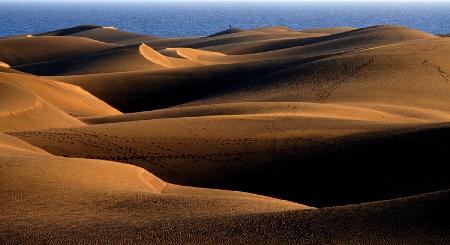 Sand dunes