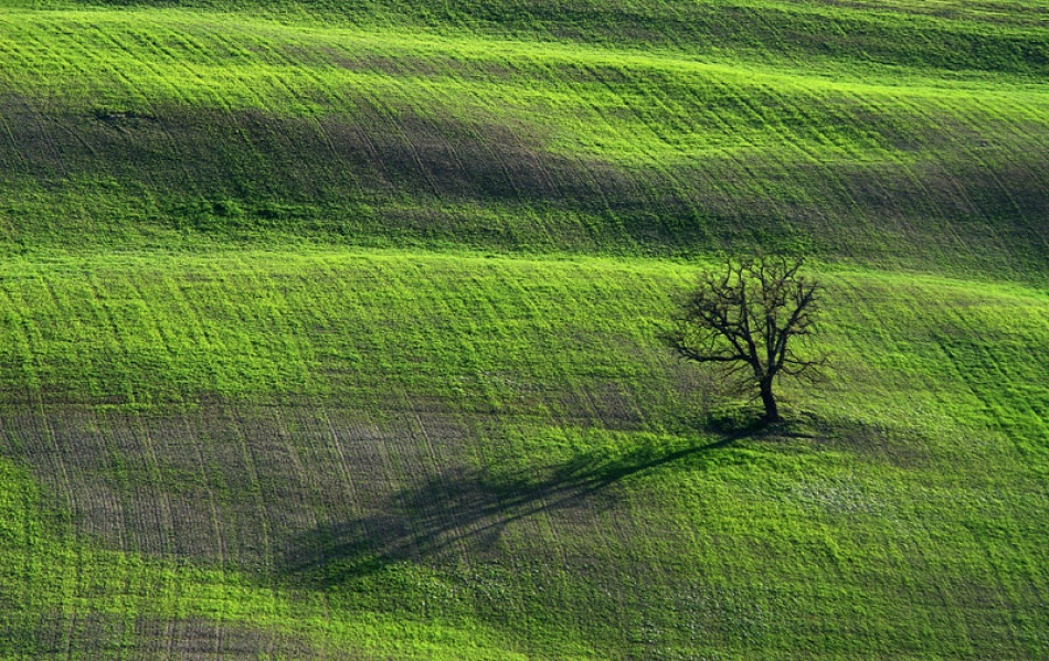 Green von Bror Johansson