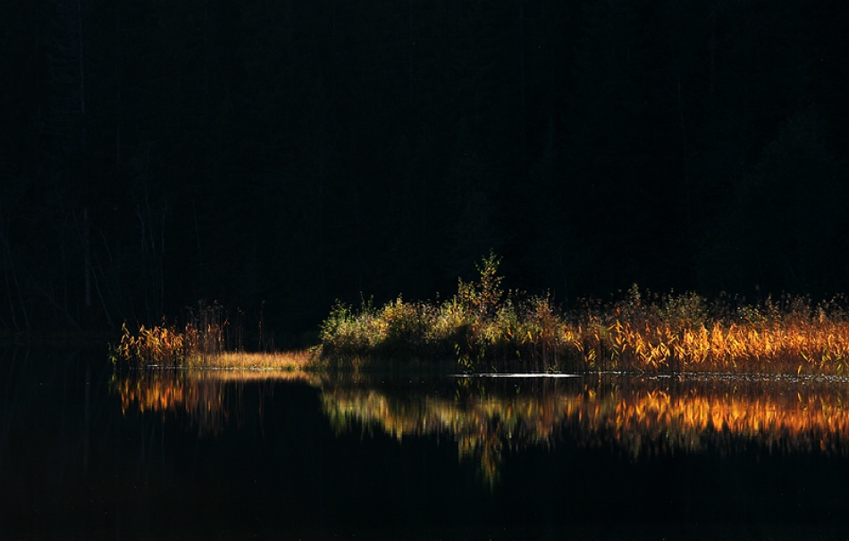 Black lake von Bror Johansson