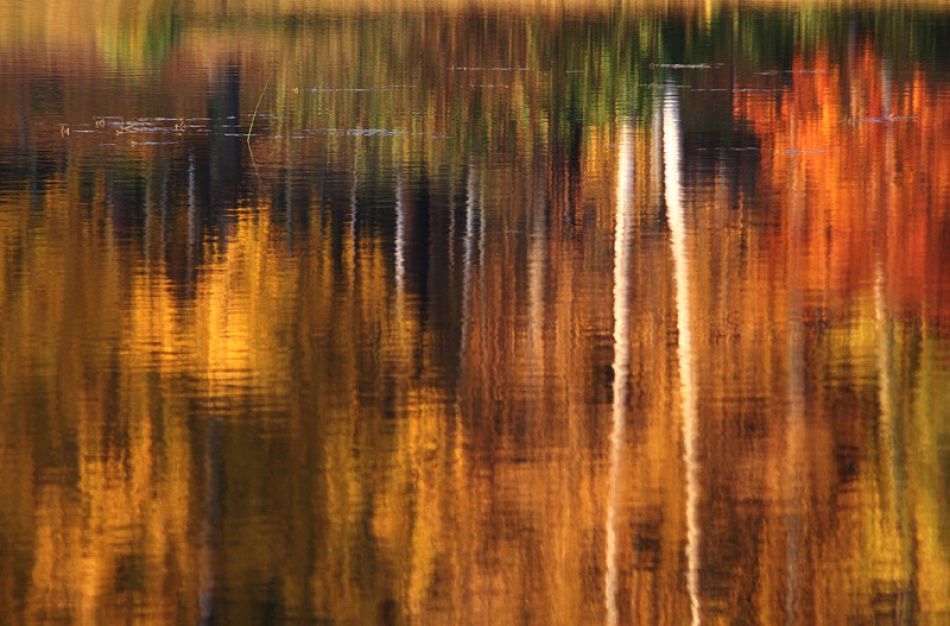 Water art von Bror Johansson