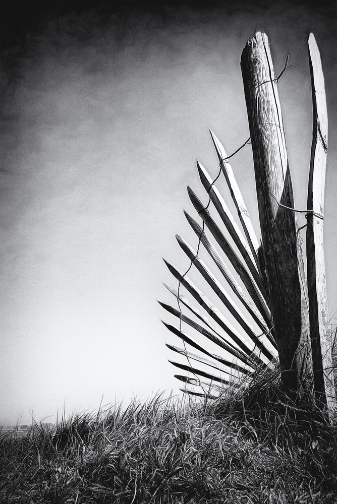 No (of)fence in the dunes von Bruno Flour