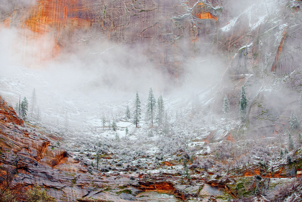 Snow in Zion National Park, Utah von BuddyHawkins