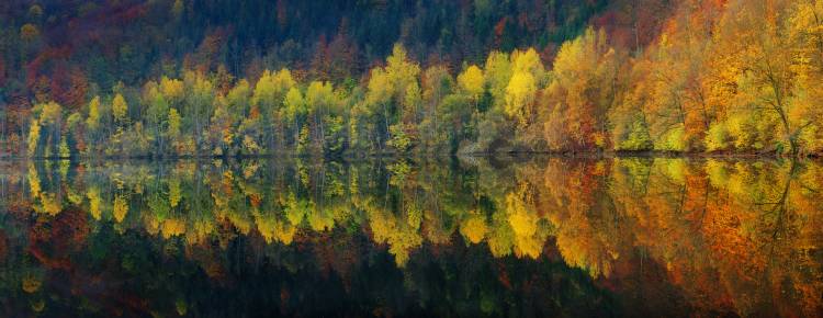 Autumnal silence von Burger Jochen