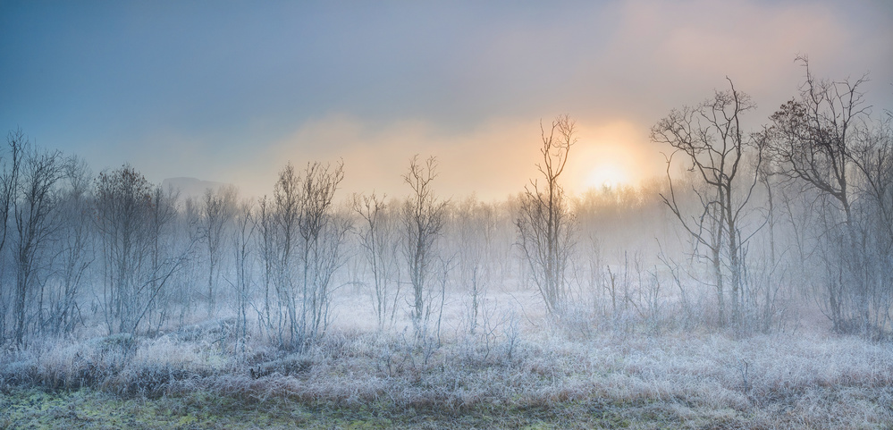 a touch of winter von Burger Jochen