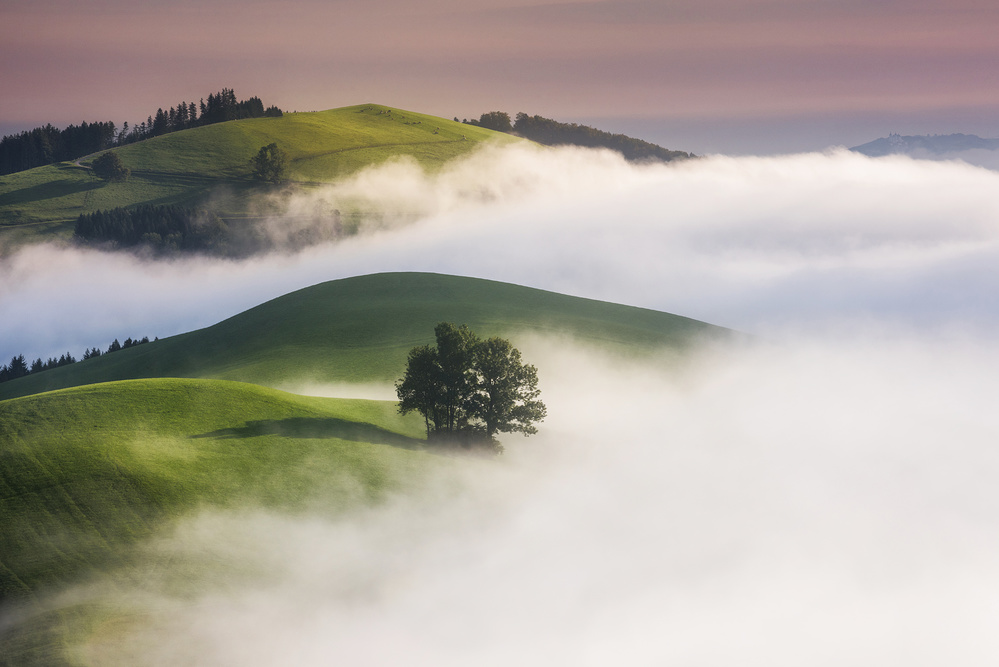 green Hills von Burger Jochen