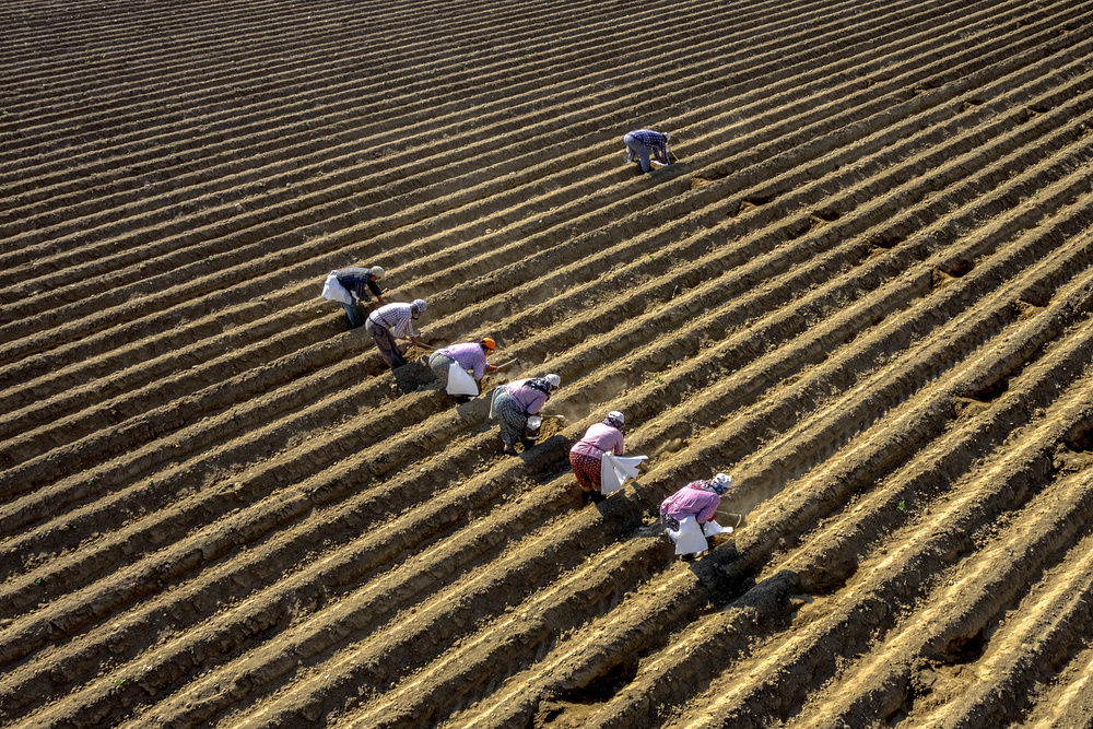 Workers von Caner Baser