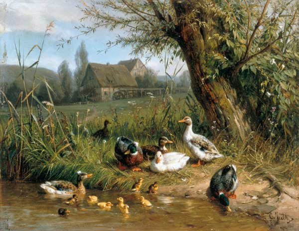 Enten mit Küken am Wasser von Carl Jutz