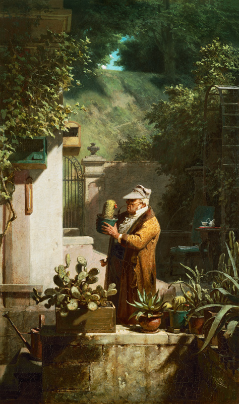 Der Kaktusfreund von Carl Spitzweg