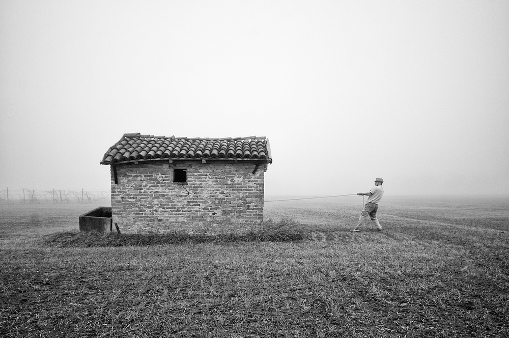 Doghouse for big dogs von Carlo Ferrara