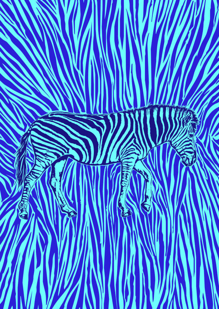 African Zebra striking camouflage von Carlo Kaminski