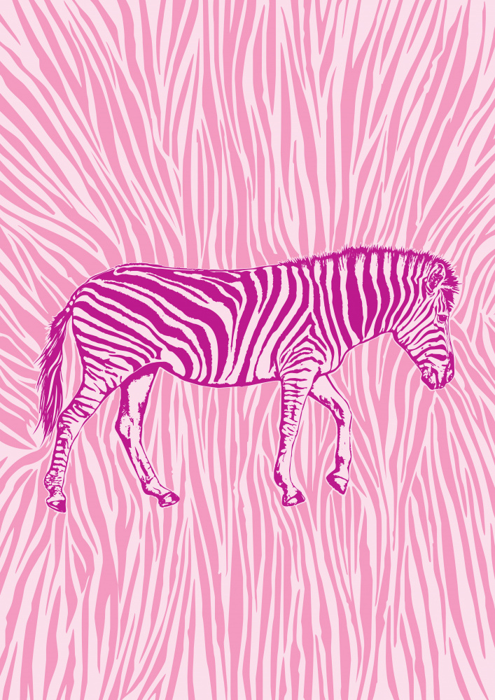 African Zebra striking camouflage von Carlo Kaminski