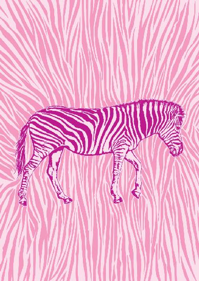 African Zebra striking camouflage