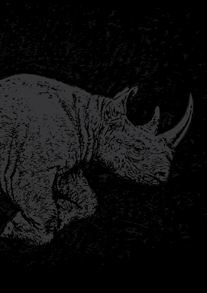 Black Rhino Charging von Carlo Kaminski