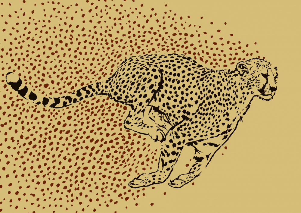 Cheetah Full Sprint von Carlo Kaminski