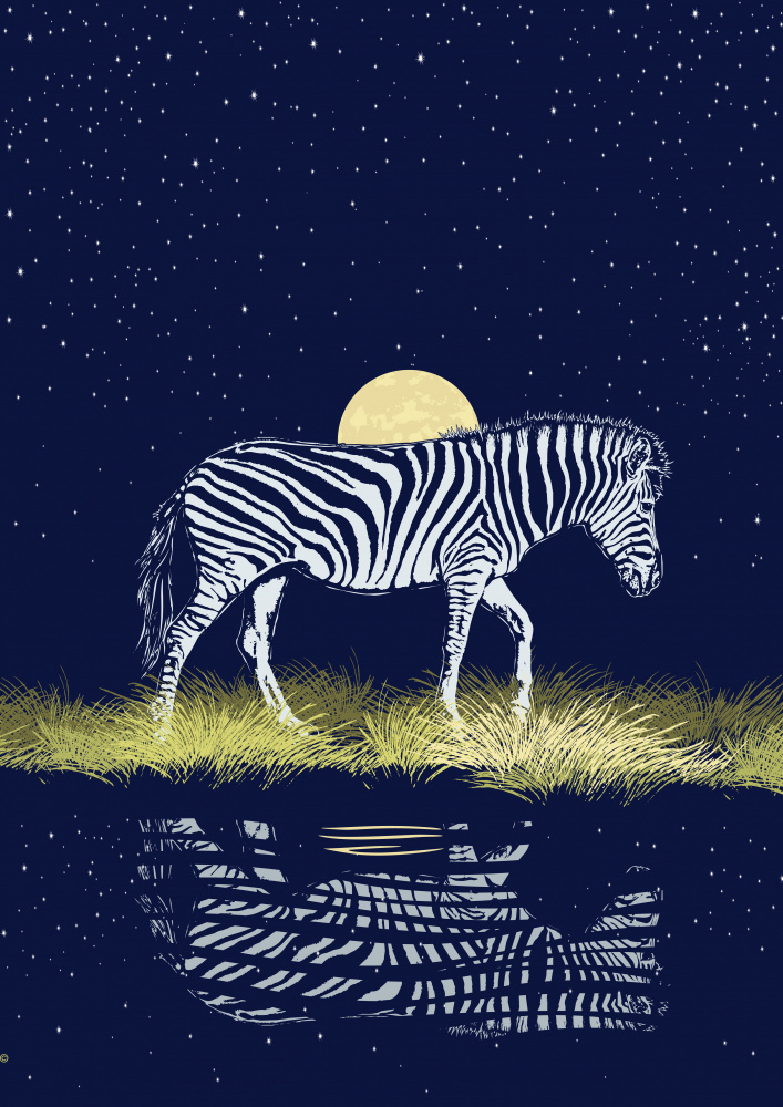 Zebra at Waterhole Moonrise von Carlo Kaminski