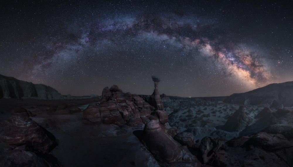 Toadstool Night von Carlos F. Turienzo