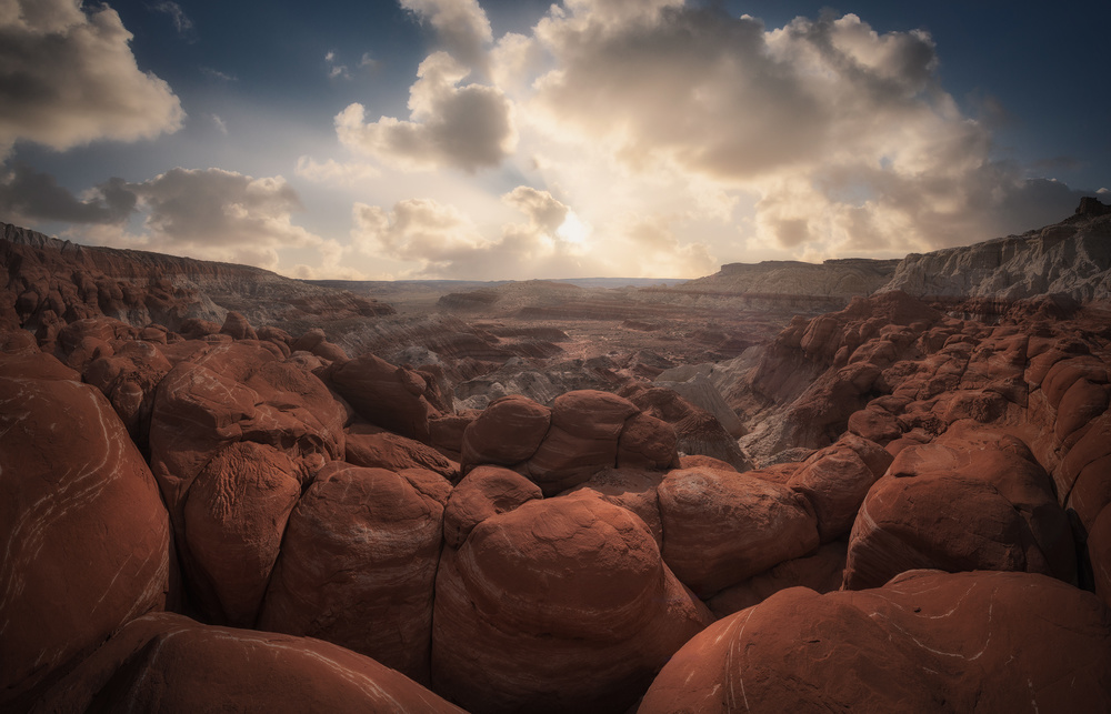 Paria Rimrocks von Carlos F. Turienzo