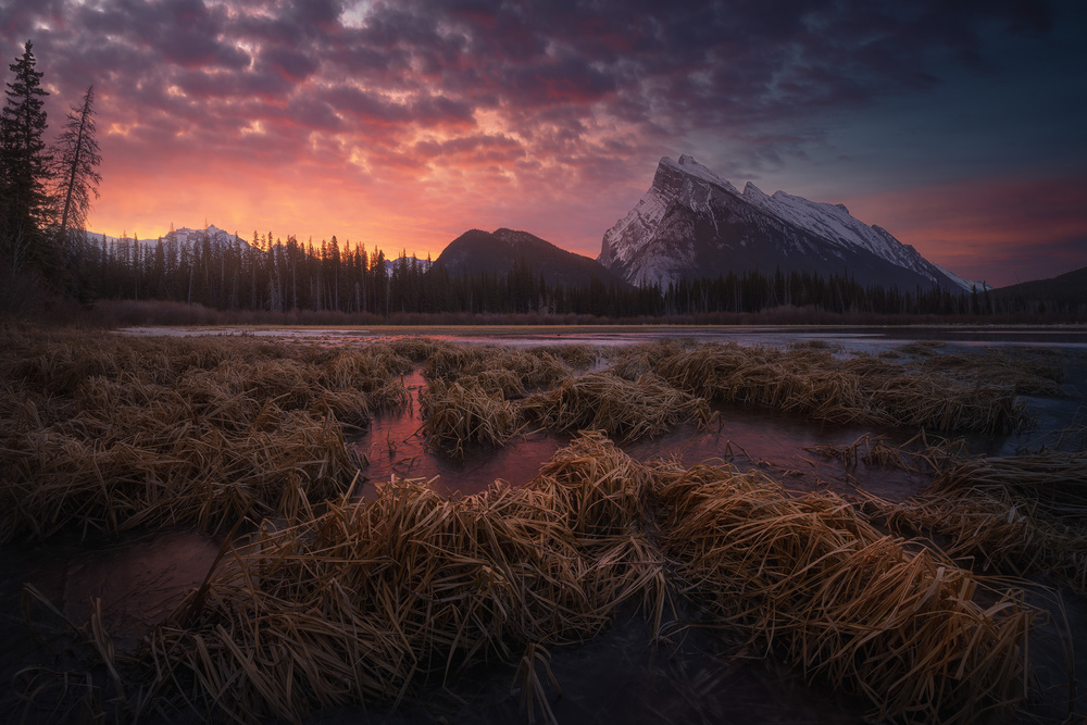 Vermillion Dawn von Carlos F. Turienzo