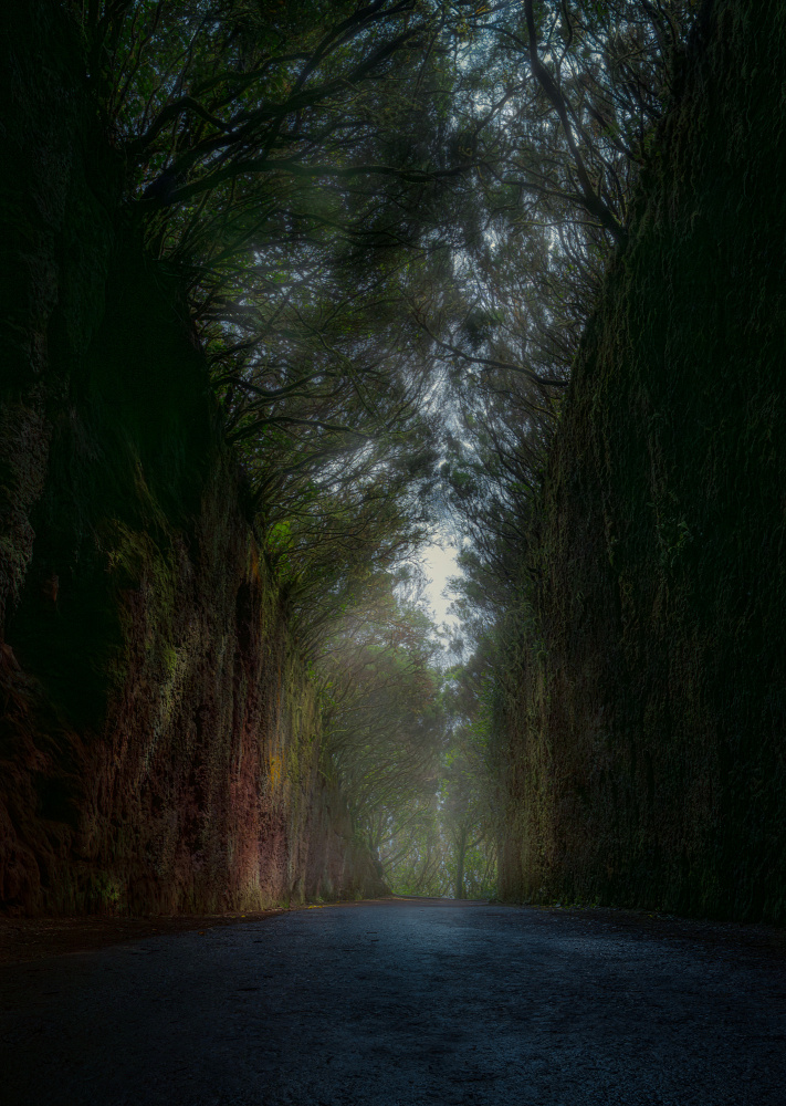 Mysterious road von Carlos Hernández Martínez