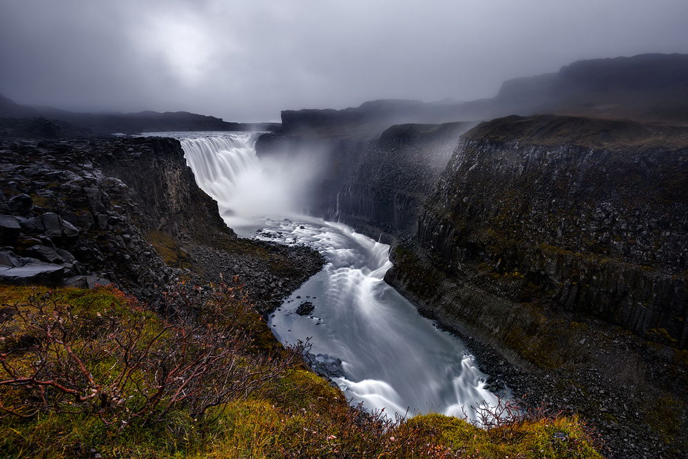 The Mighty Foss von Carlos Resende