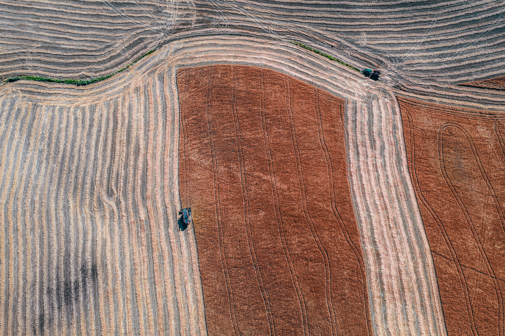 series Tuscany - Lines and Curves von Carmine Chiriaco