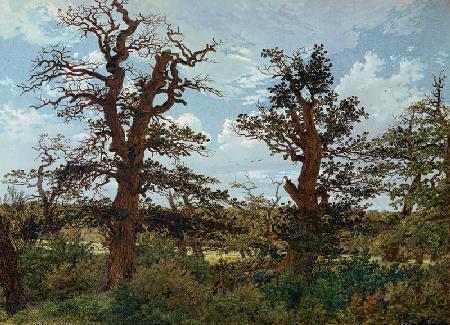 Landscape with Oaks and Hunter