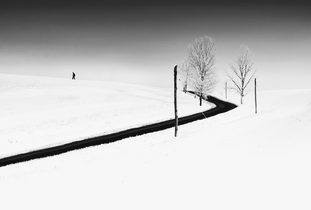 Alone von Catalin Alexandru