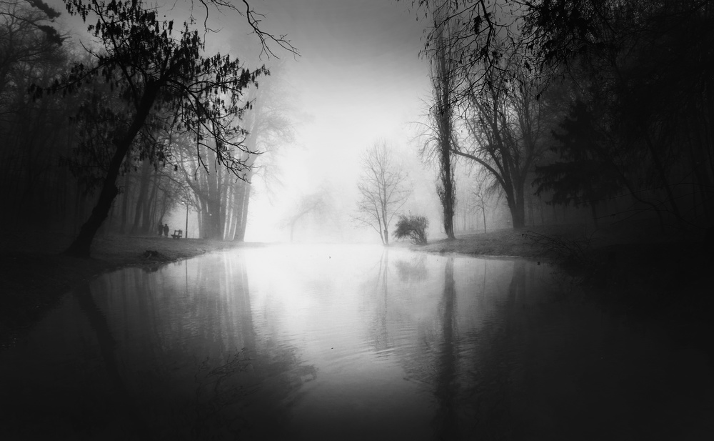 foggy morning von Catalin Alexandru