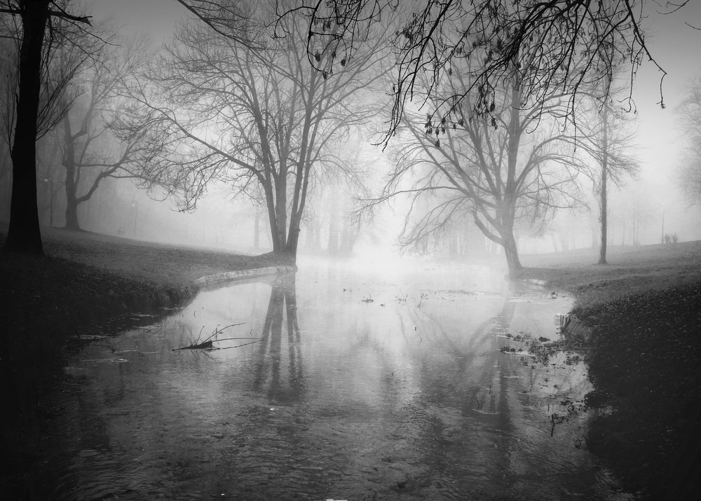 foggy morning2 von Catalin Alexandru