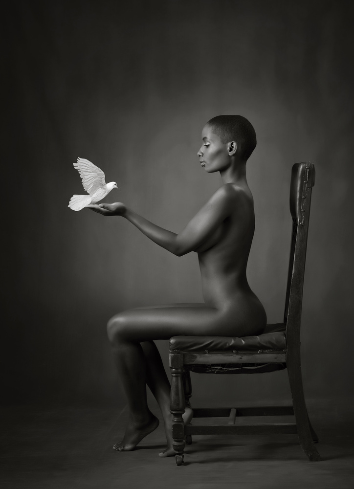 Ebony Dove von Catchlight Studio