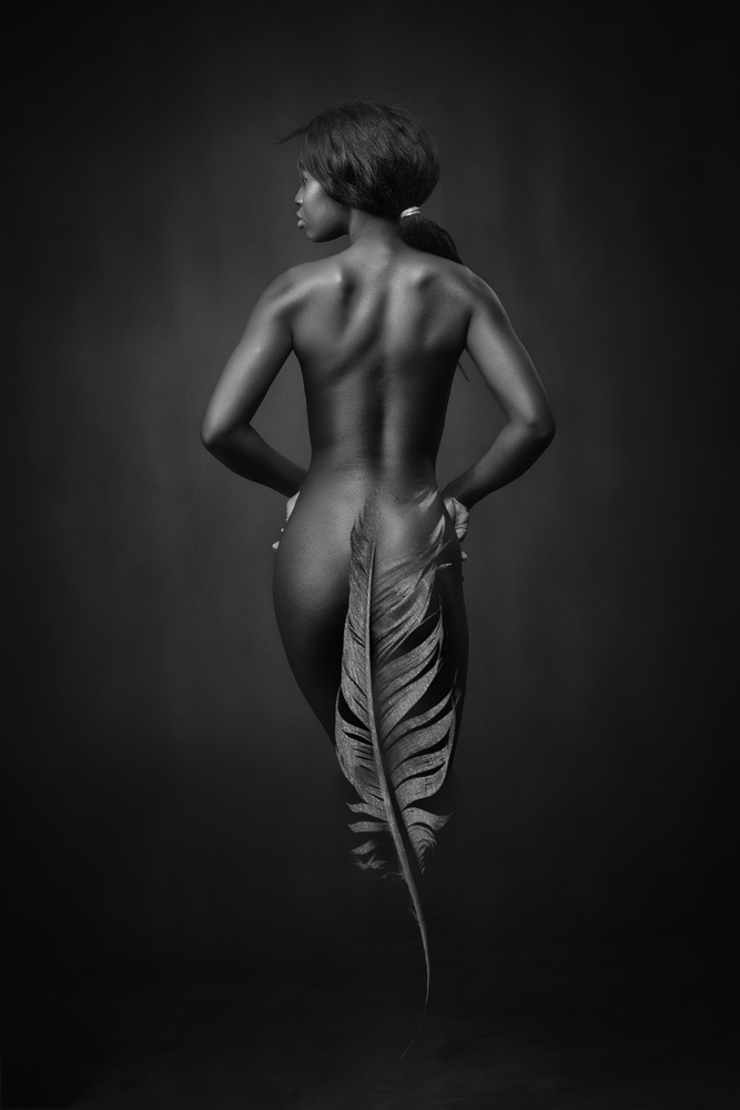 Ebony Feather von Catchlight Studio