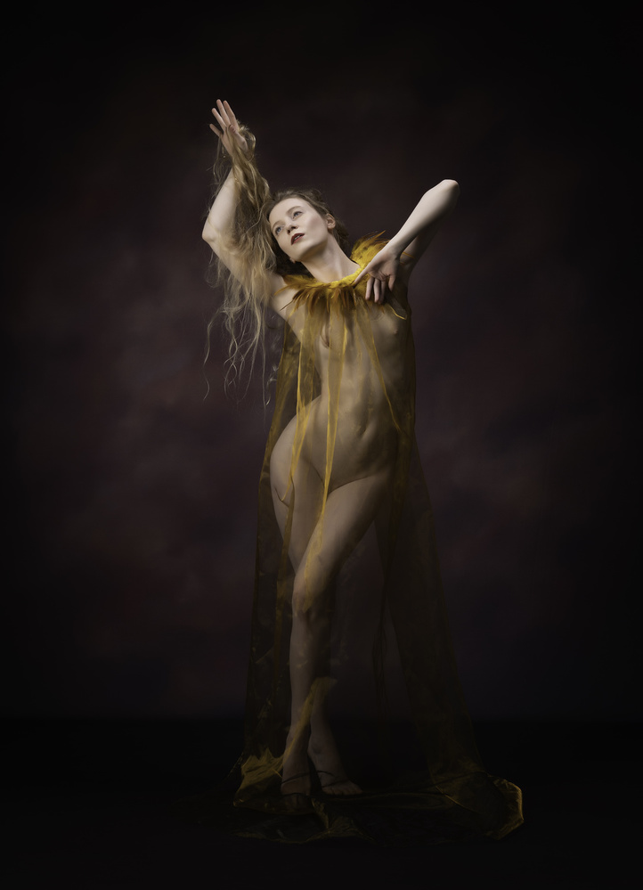 Gold Feathers von Catchlight Studio