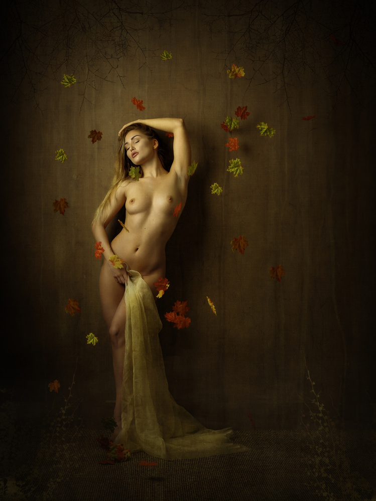 Autumn leaves von Catchlight Studio