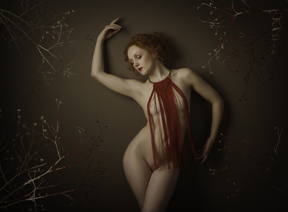 Autumn Reds von Catchlight Studio