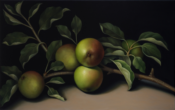 Still Life with Apple Branch von Catherine  Abel