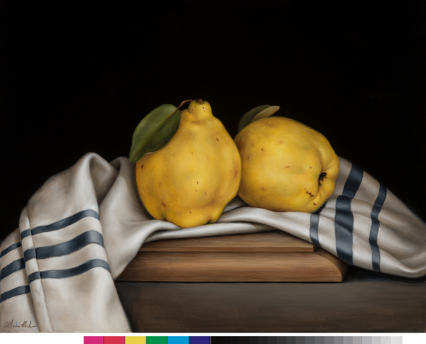 Still Life with Quinces von Catherine  Abel