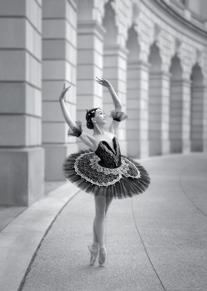 Ballerina in DC von Catherine W.