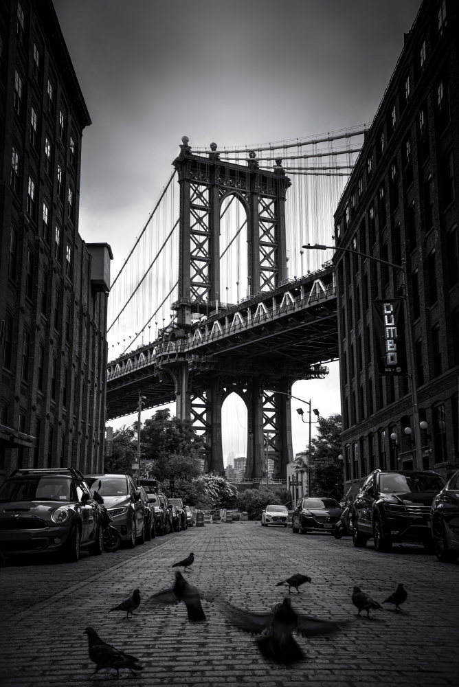 Dumbo - NYC von Catherine W.